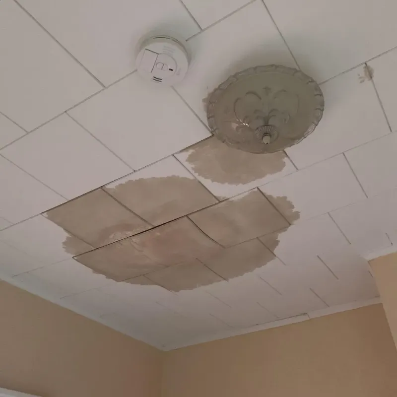 Ceiling Water Damage Repair in Tullytown, PA