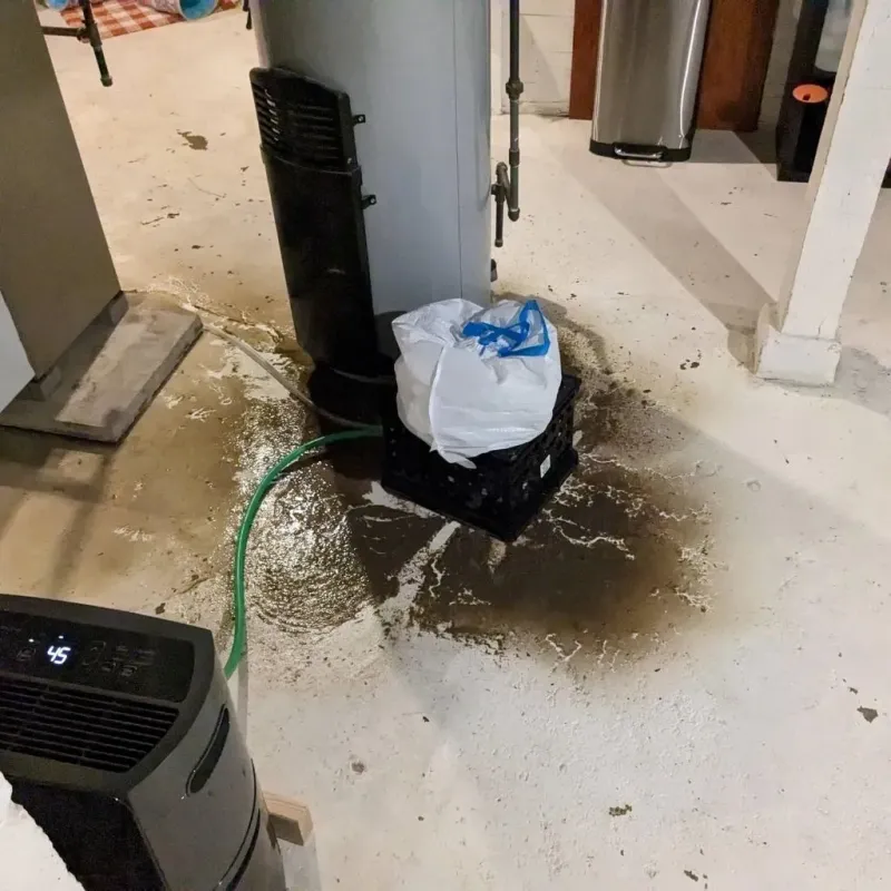 Sewage Backup Cleanup Service in Tullytown, PA